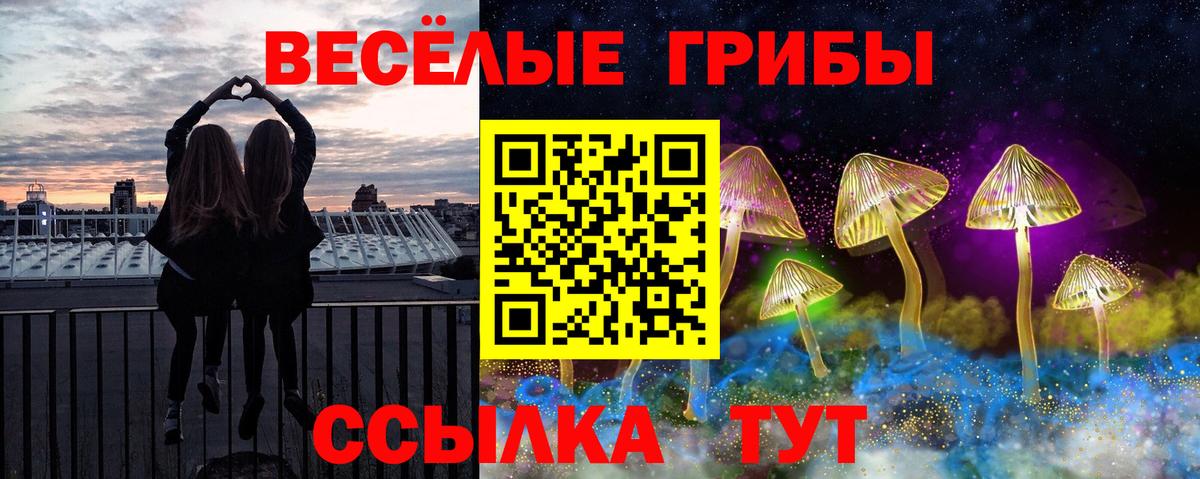Галлюциногенные грибы MAGIC MUSHROOMS Электросталь