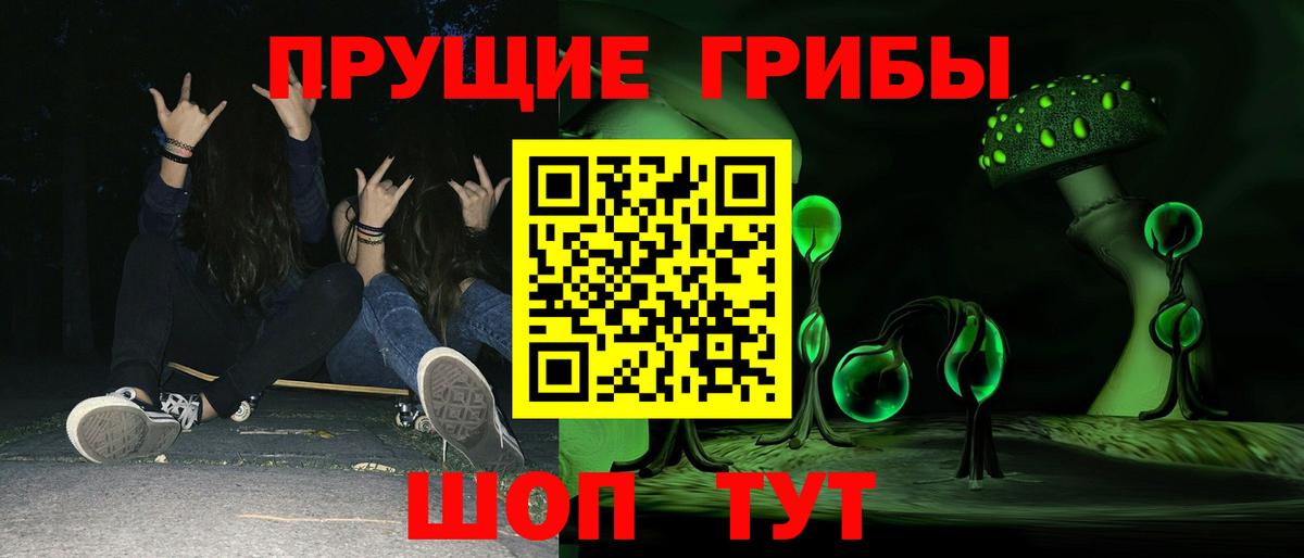 Электросталь  Псилоцибиновые грибы Psilocybe  Вход с VPN 